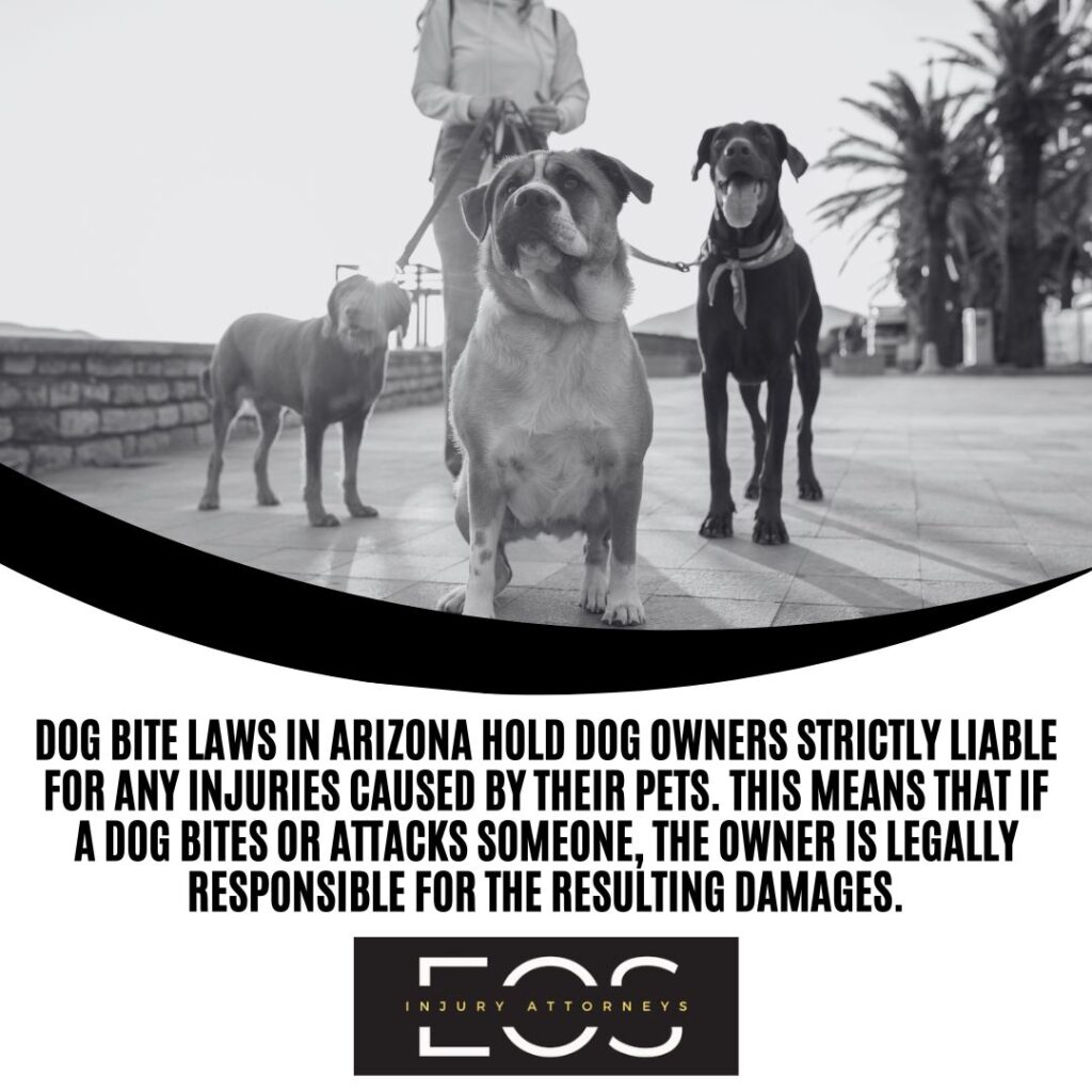 Dog Bites Lawyer | Eos Law | Dog Bites Lawyer Near Me